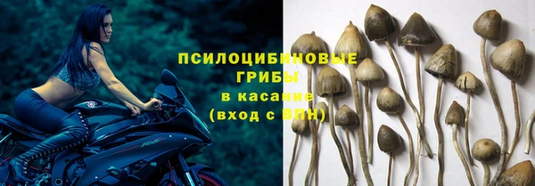винт Зеленодольск