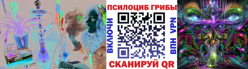 Купить закладки  Калачинск  Галлюциногенные грибы Magic Shrooms 